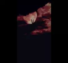 Image n° 4 - screenshots  : Nosferatu